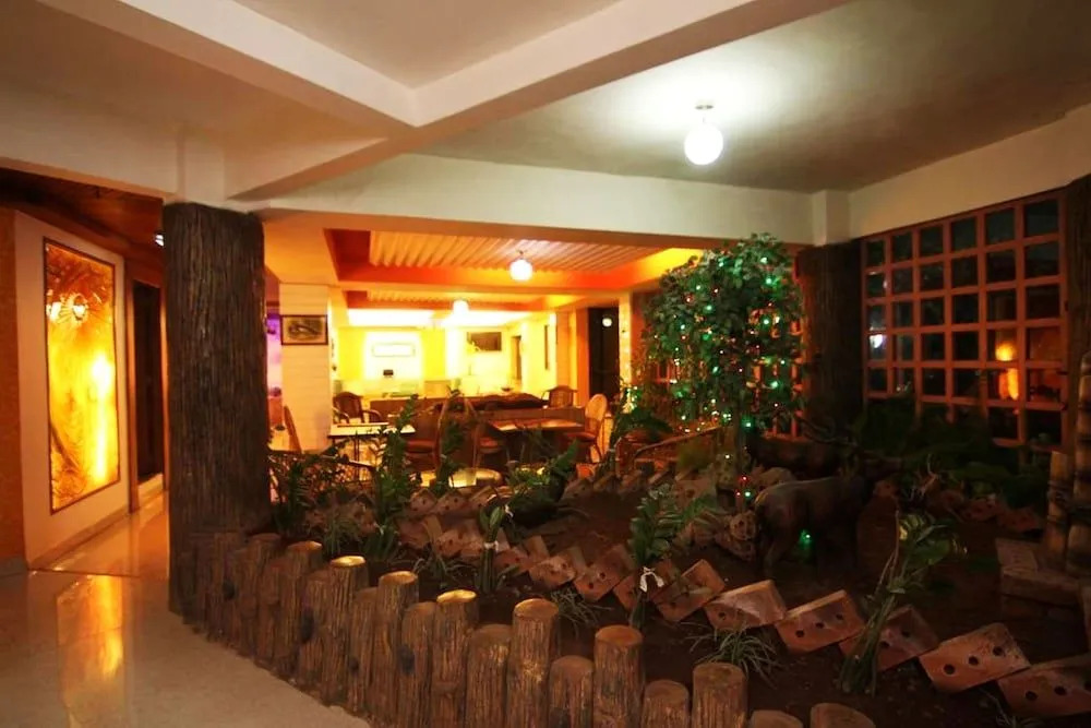 Mount View Executive