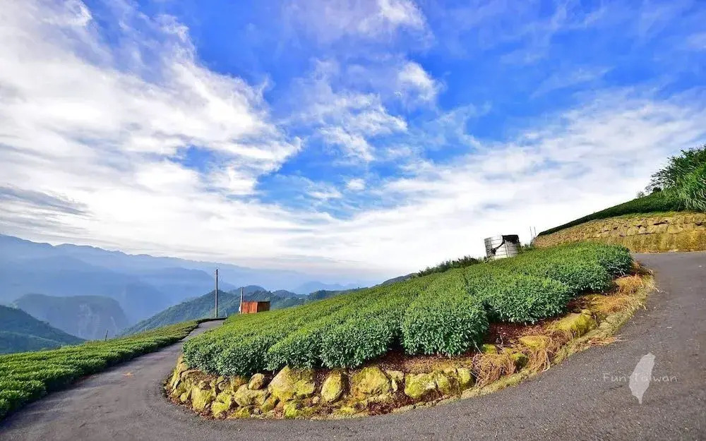 A-Li A-Li Homestay