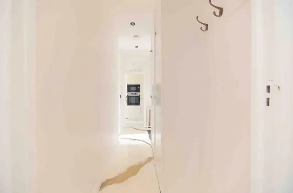 Entire Luxury Apartment in Greater London