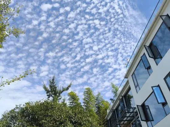 Chongqing Chashan Bamboo Sea Zhuliang Mountain View Homestay