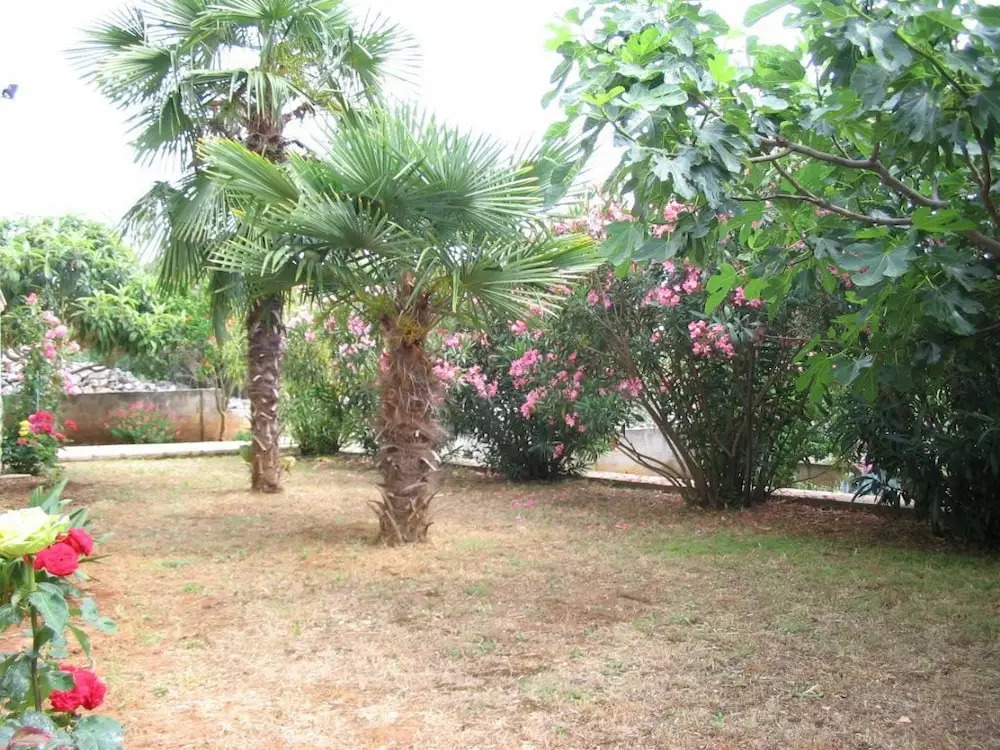 Apartments Marija