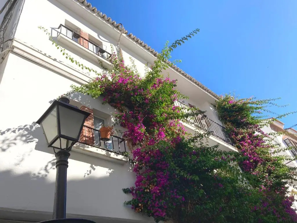 Hostal Paco Marbella