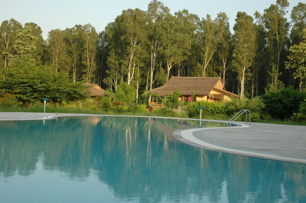 Jims Jungle Retreat