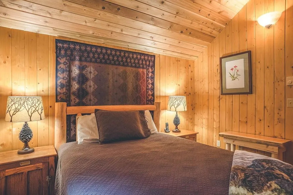Cedar Springs Cabin