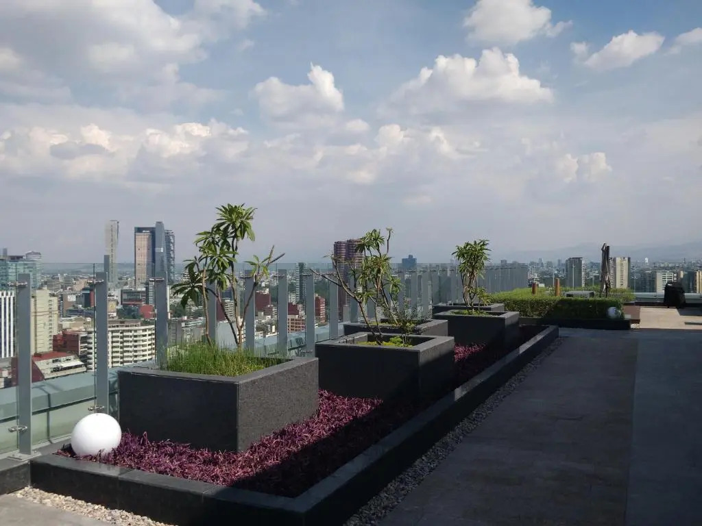 Beautifully Appointed 1BR Polanco
