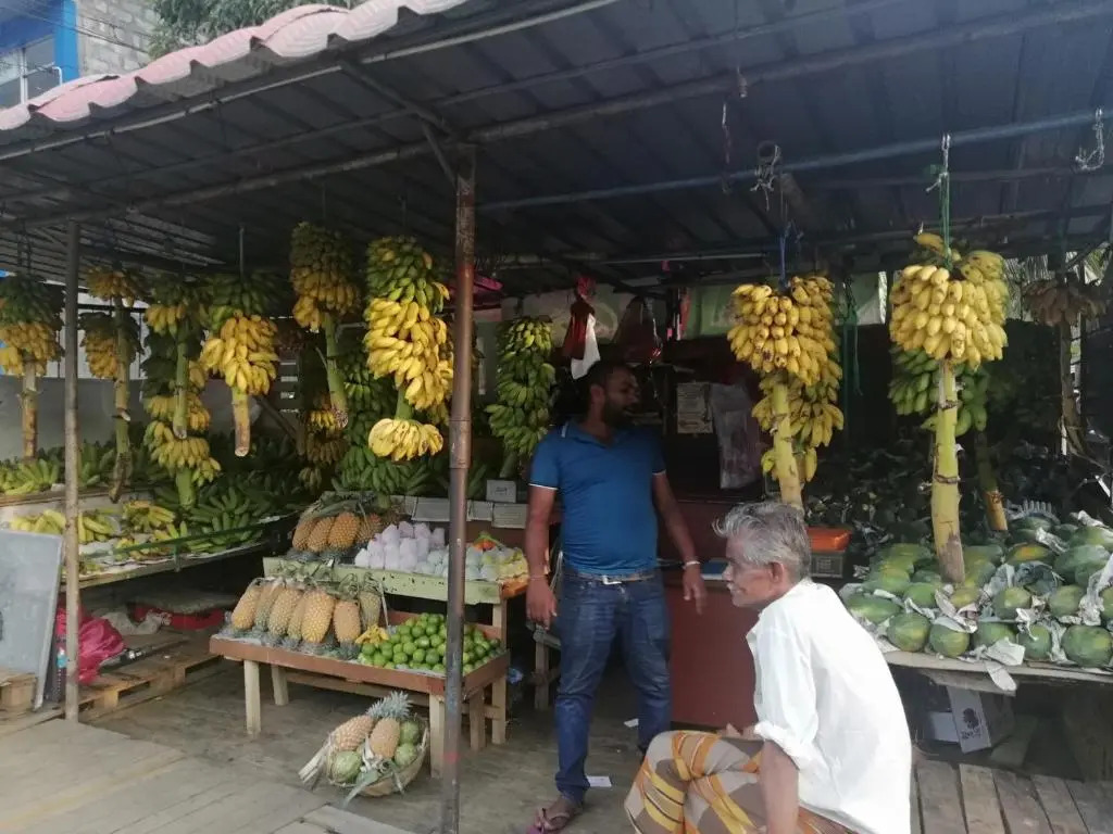 Mahaweli Shades