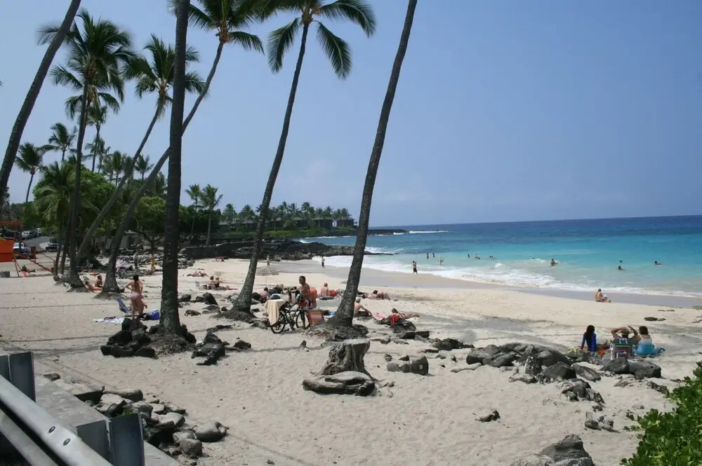 Hale Honu Oceanfront by RedAwning