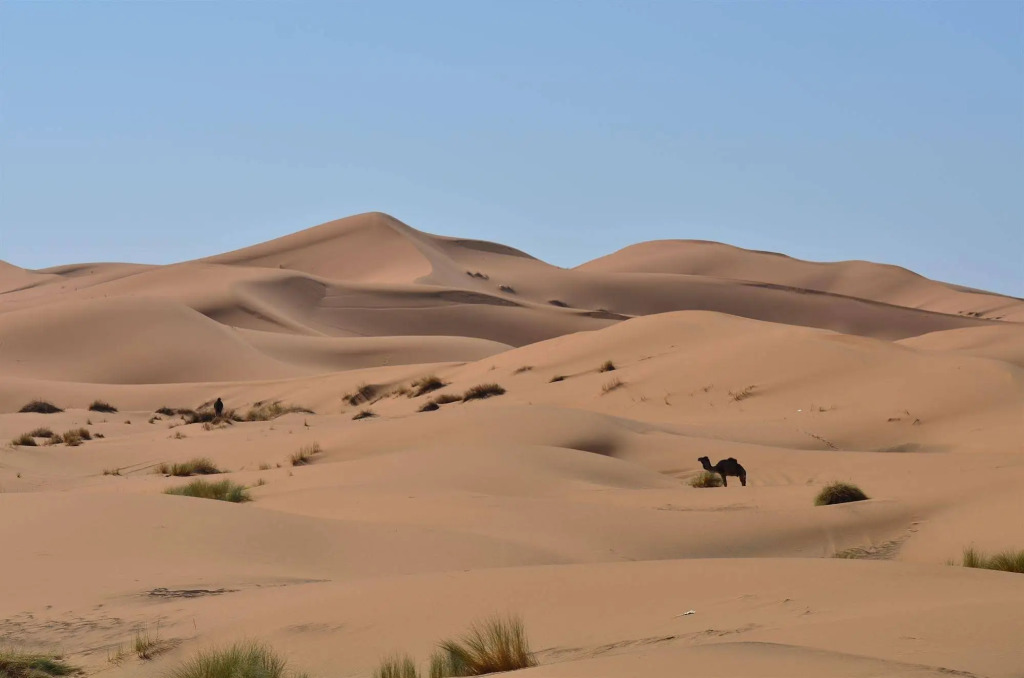 Kasbah Erg Chebbi