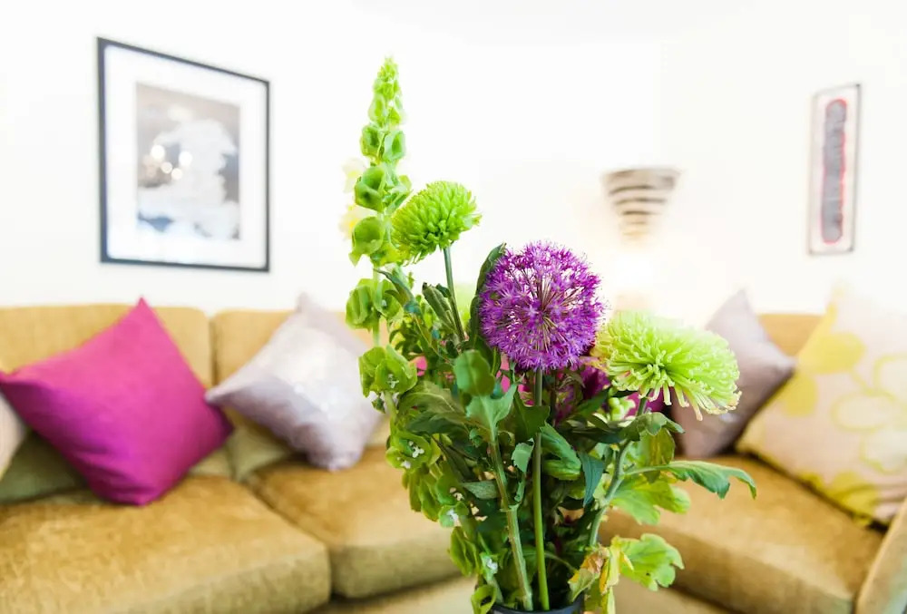 Maes Bach Boutique GUEST HOUSE TOWN CENTRE