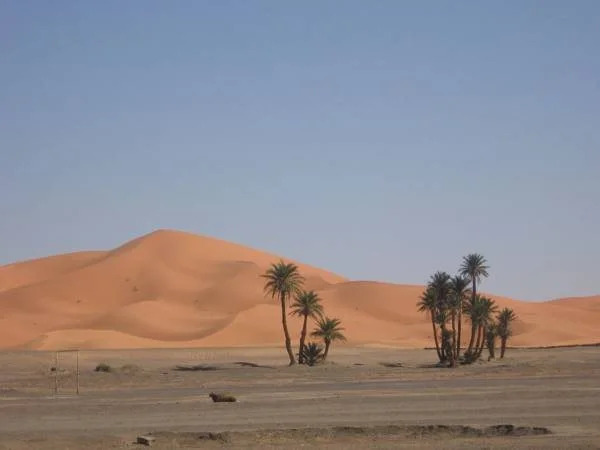 Maison Merzouga Guest House