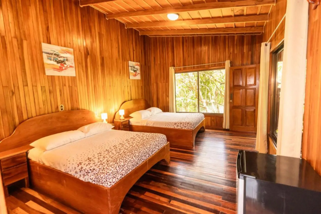 Jaguarundi Jungle Lodge - Monteverde