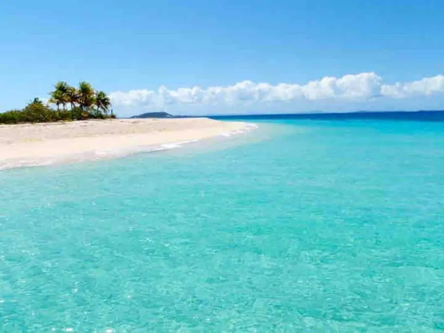 Palomino Island View