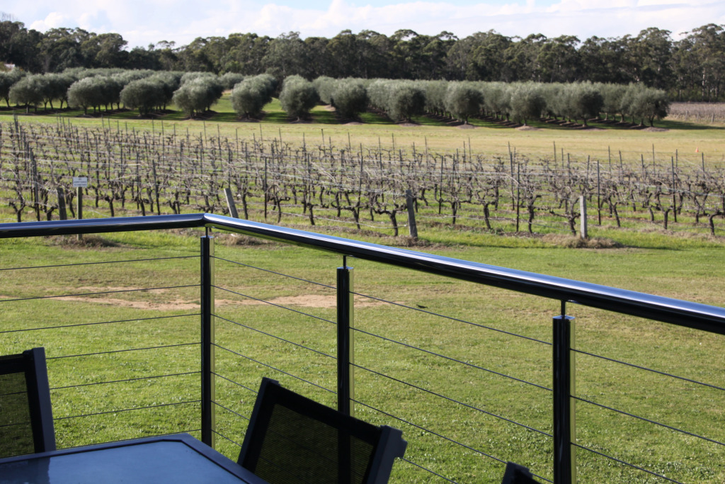 Adina Vineyard