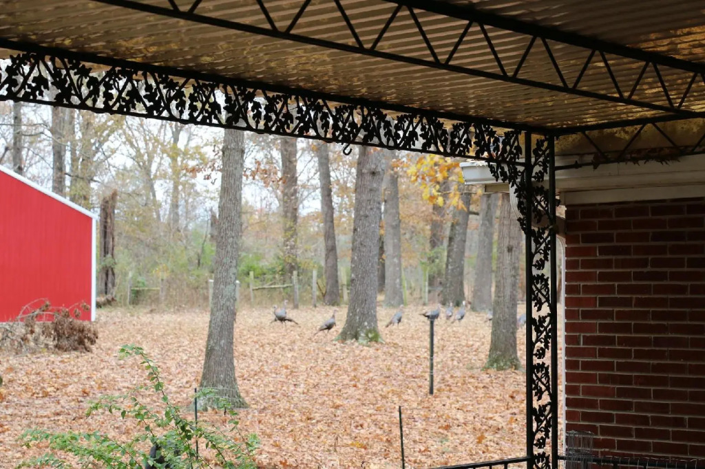 Cedar Grove Inn