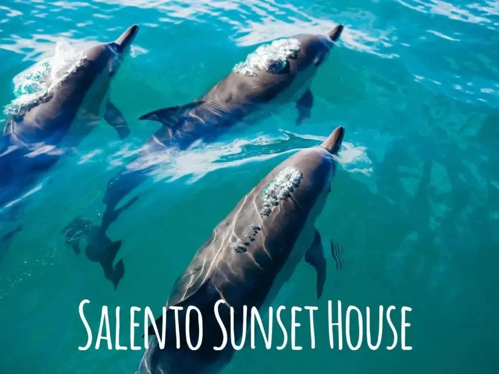 Salento Sunset House