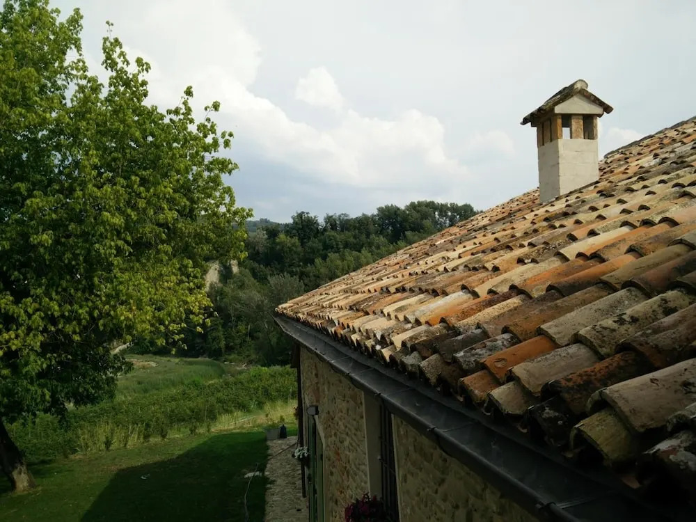 Azienda Agricola Baccagnano