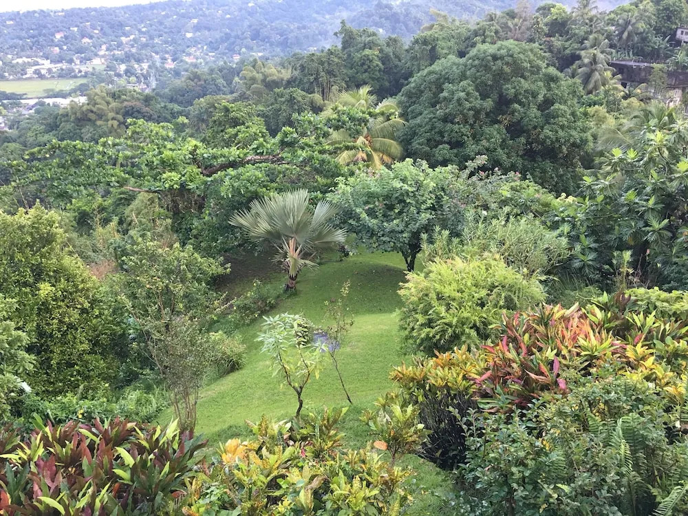 Treetops Villa