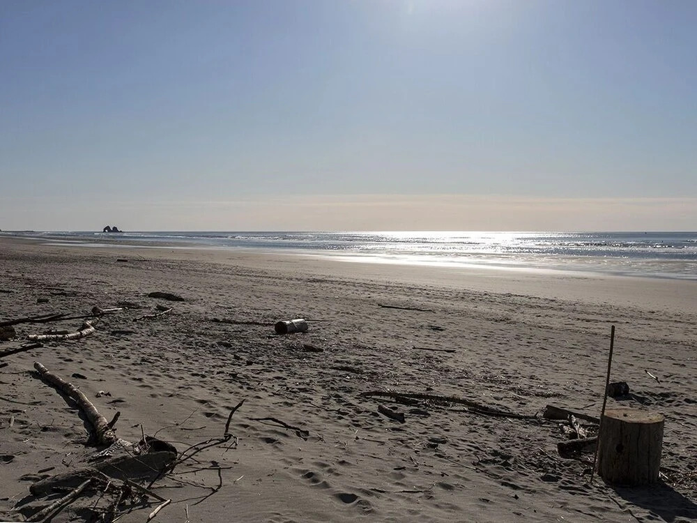 Surfside Resort