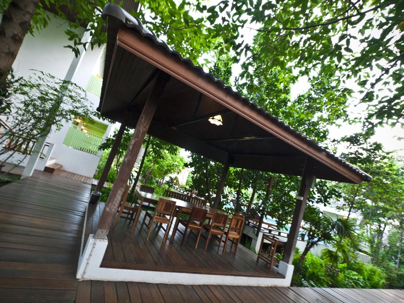 Tree House Hotel
