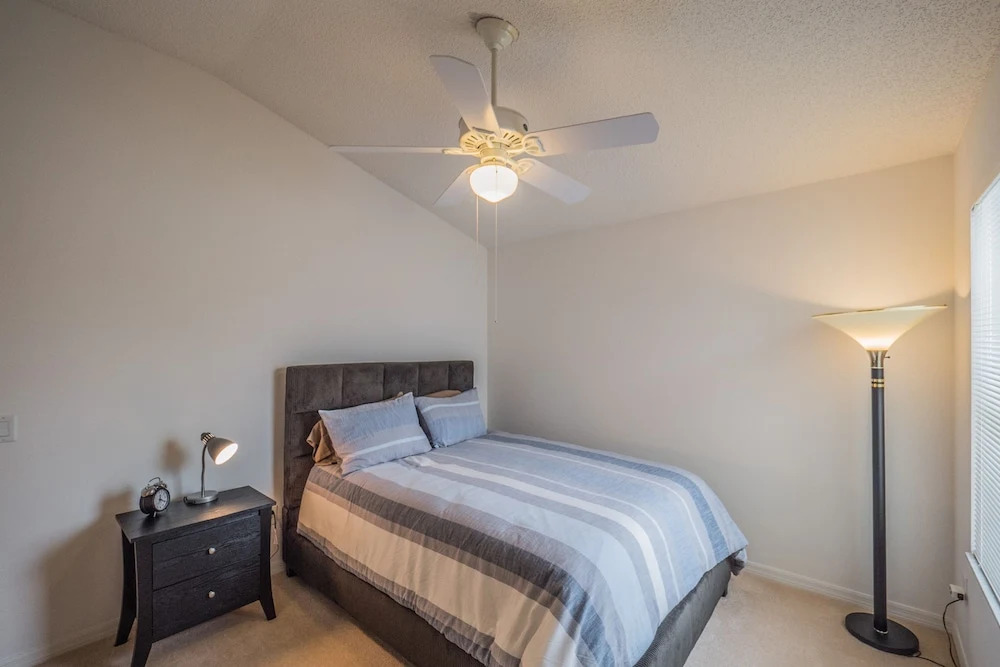 Audrey Lane 555 by White Pelican VR