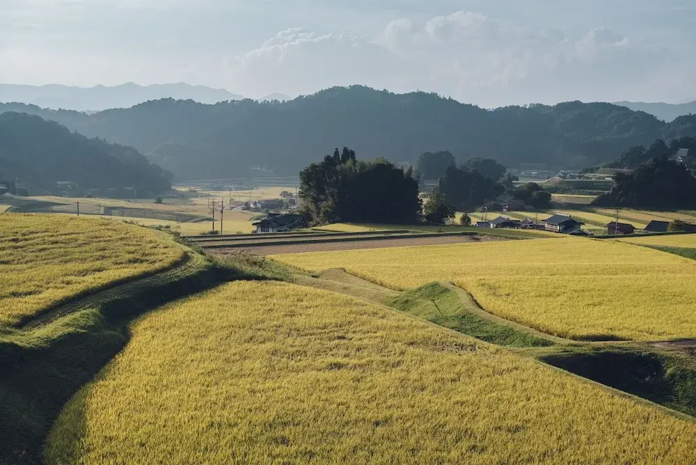 Setouchi Cominca Stays Hiroshima Chojaya