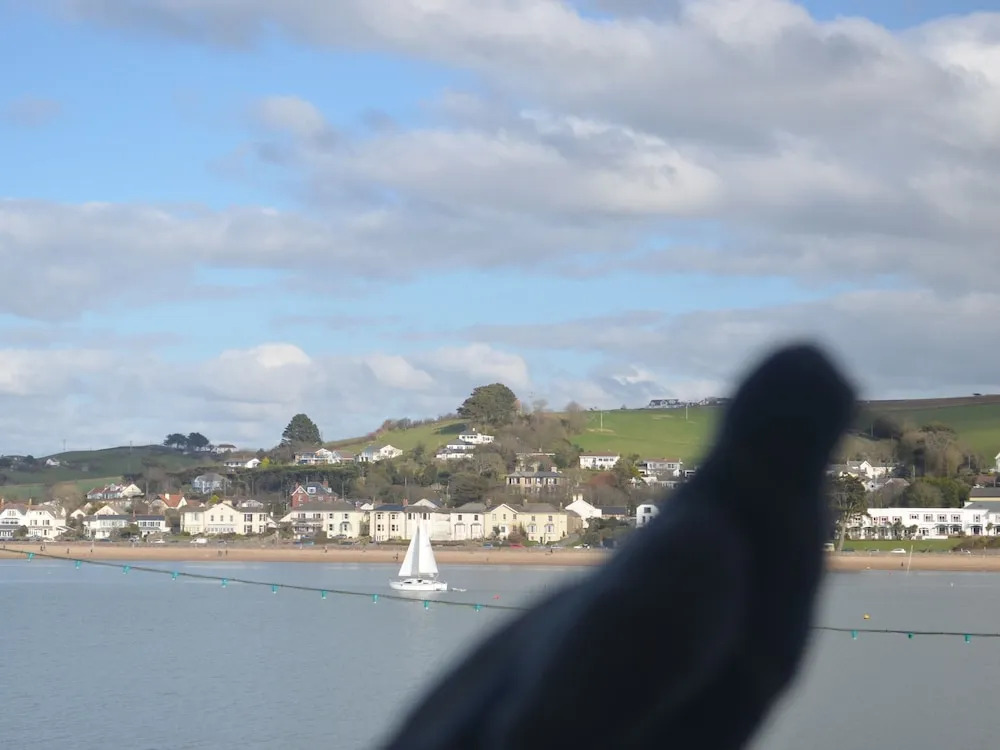 Appledore Factory