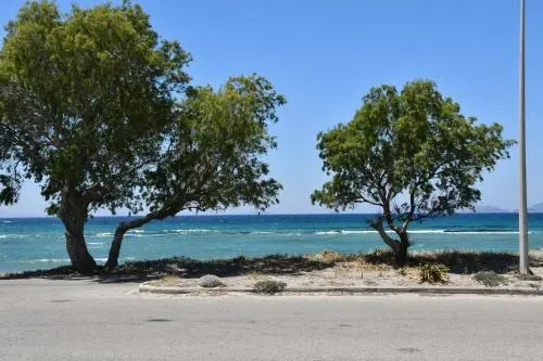 Flat 1 Bedroom 1 Bathroom - Kos