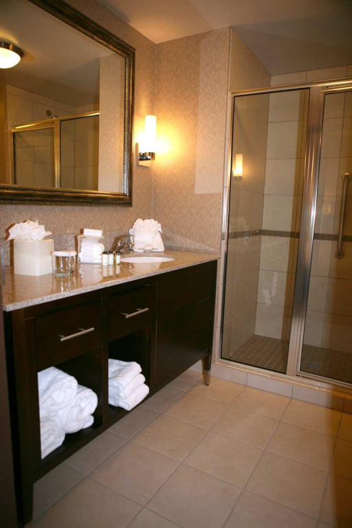 Отель Embassy Suites by Hilton Birmingham Hoover