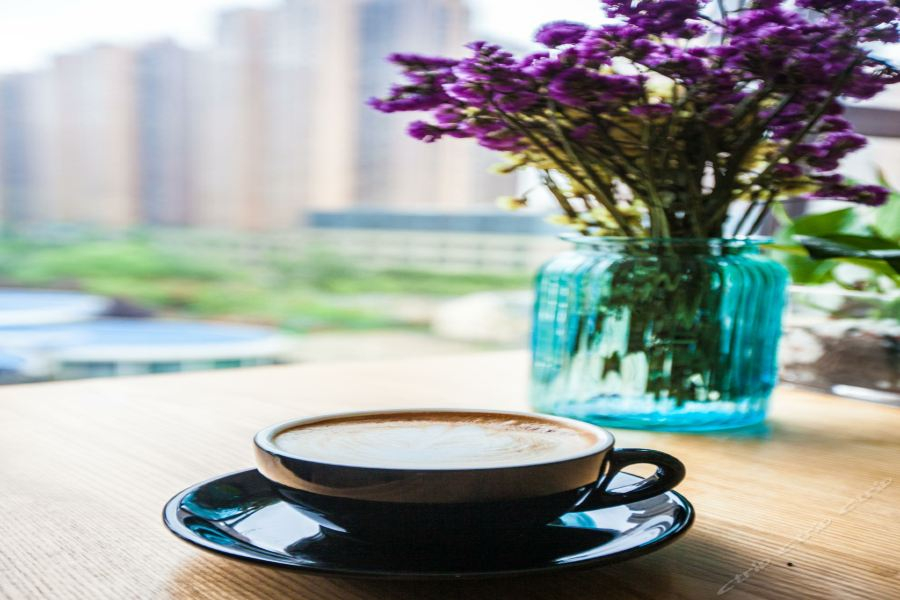 James Joyce Coffetel (Chengdu East Railway Station Lvdi 468)