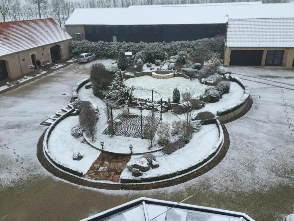 Au grand saule