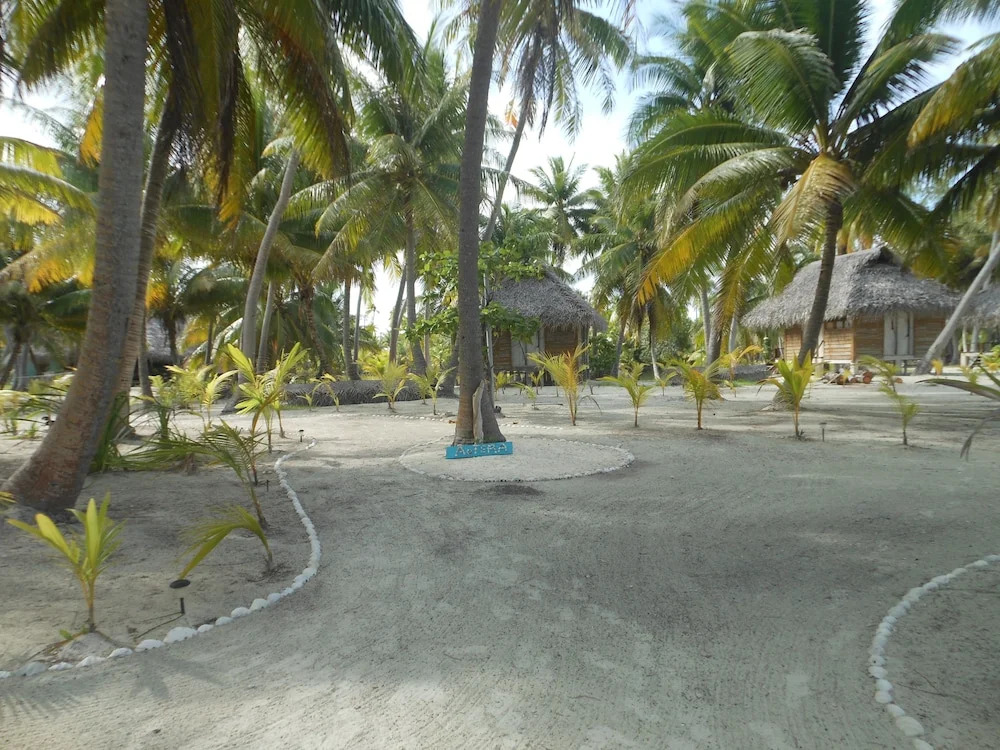 AOTERA GUEST HOUSE