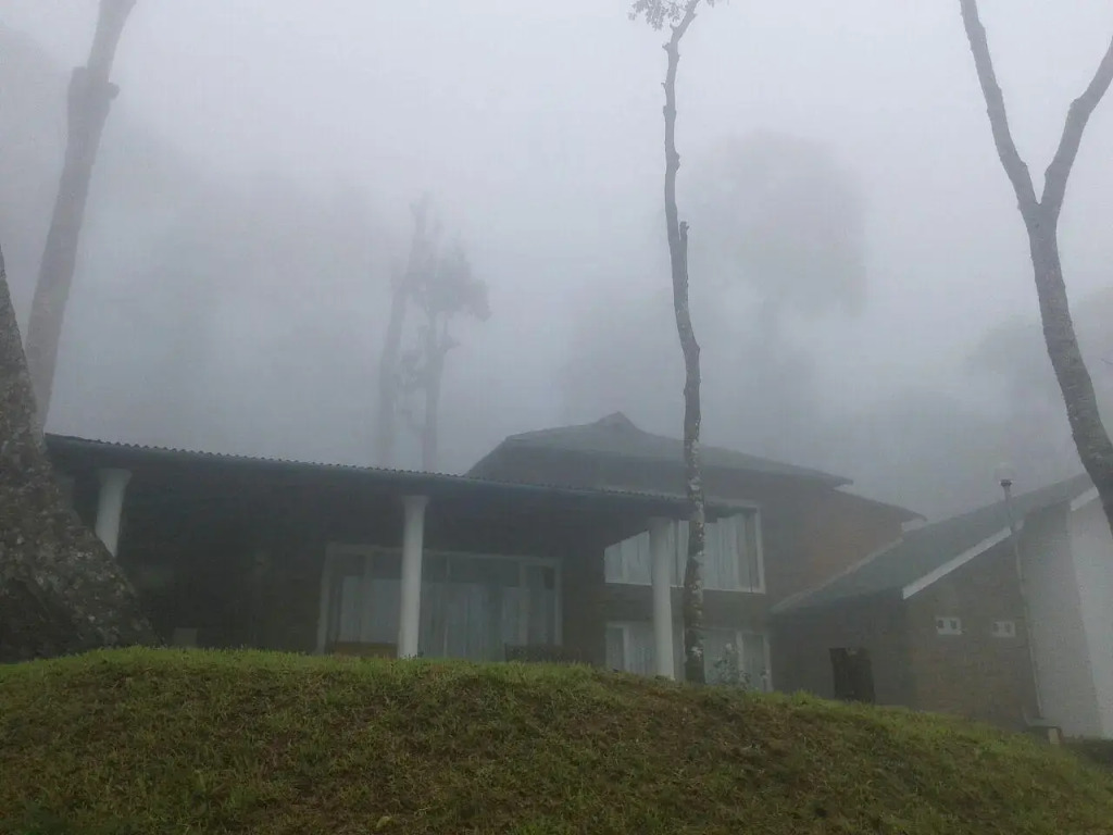 Neelakurunji Luxury Plantation