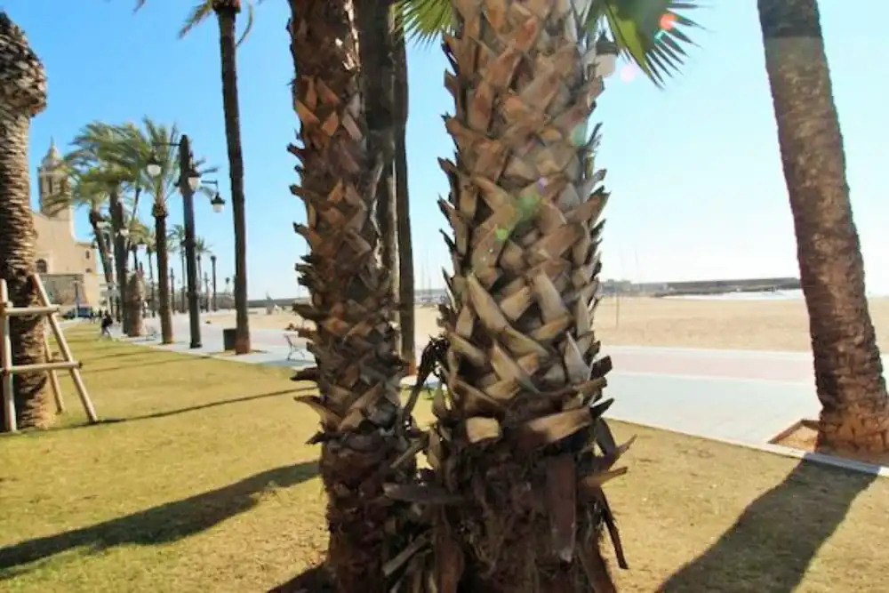 Fragata Sitges Rentals