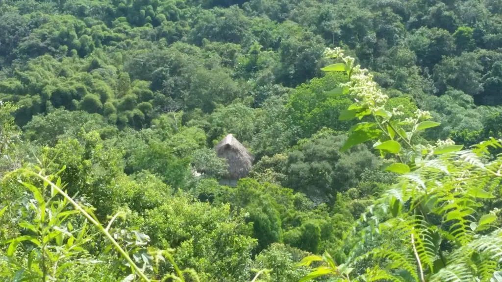 Minca Glamping