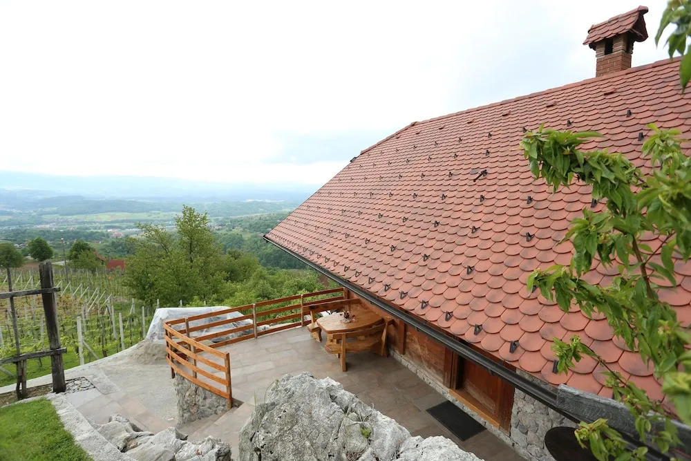 Vineyard cottage Med vinogradi