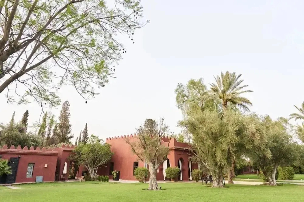 Bab Akoul Palmeraie - Maison dhôtes & Spa