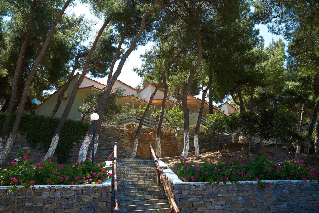 Venus Beach Hotel