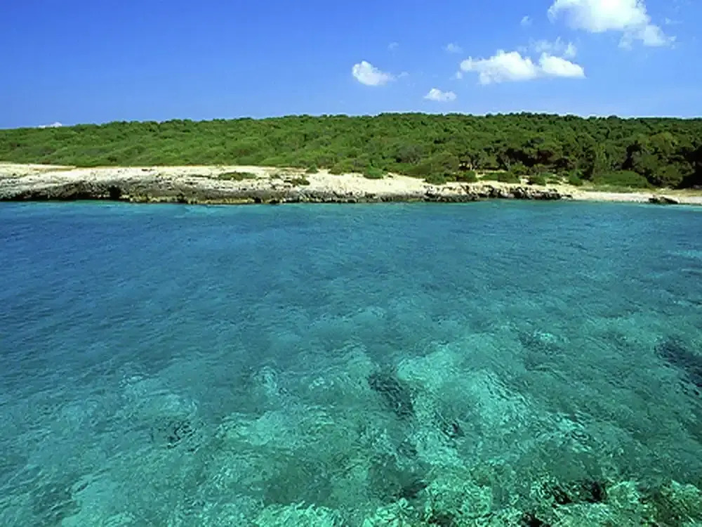 Apartment in Salento With Sea View & Pool