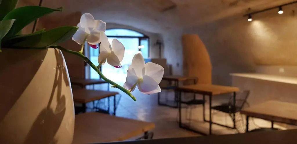 Residence Masseria Santa Lucia