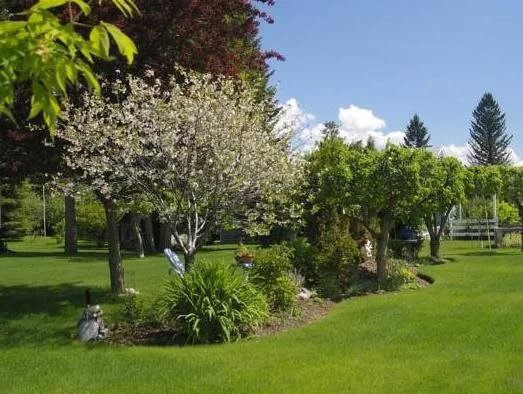 Windermere Lakeside B&B