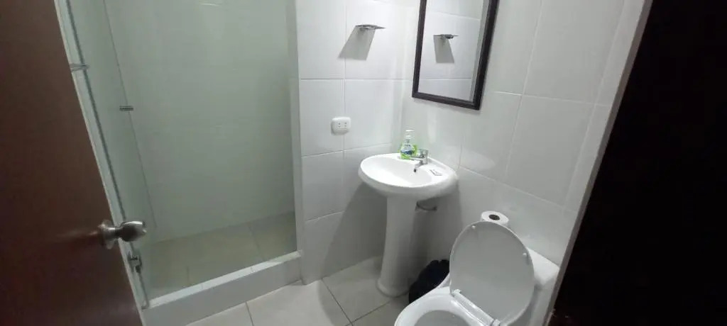 Dpt suite pardo 610