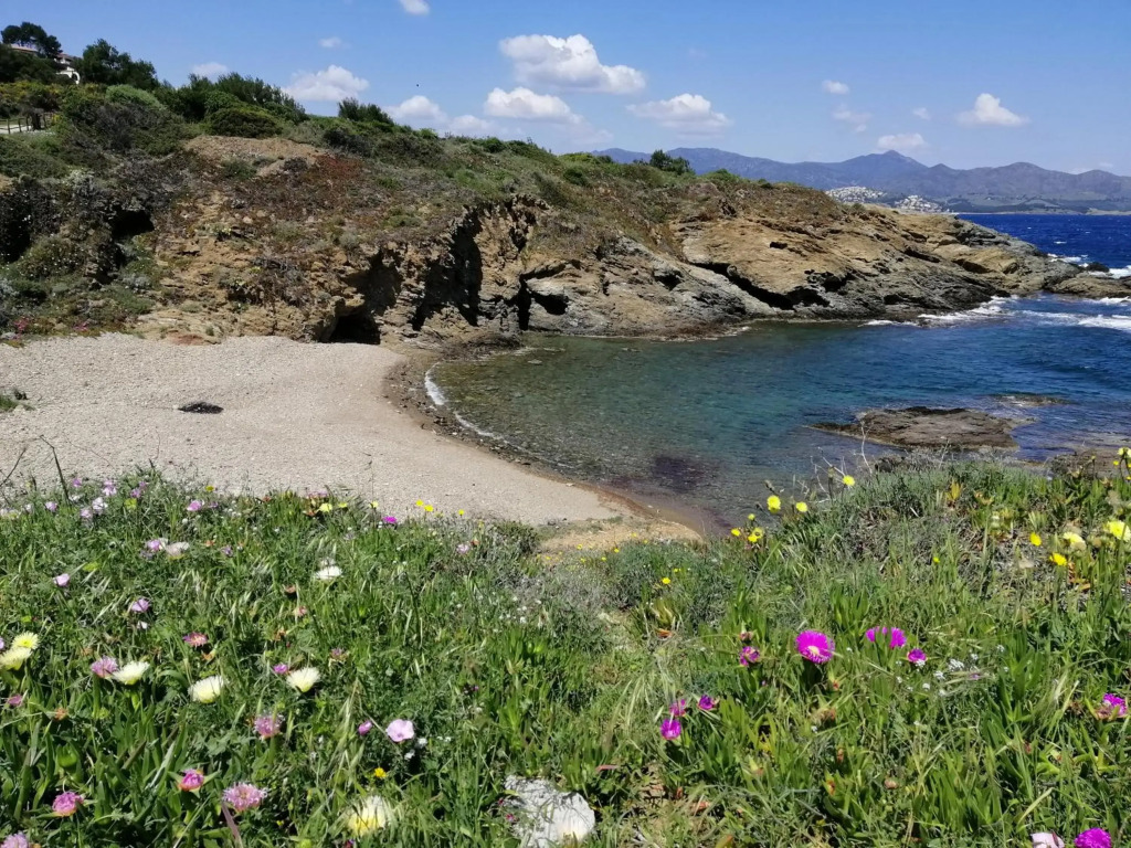 Casa Platja den Robert