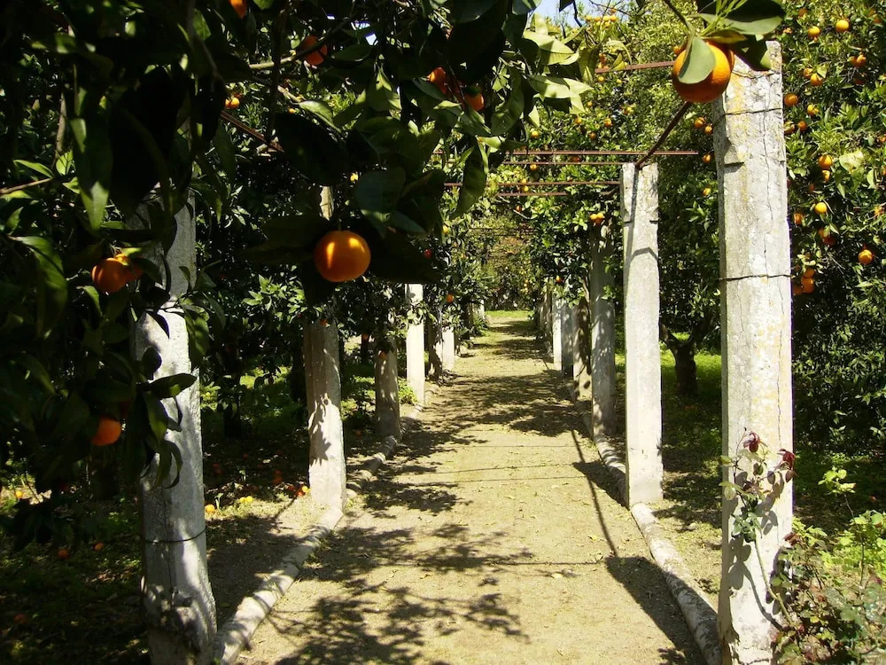 B&B Antico Aranceto