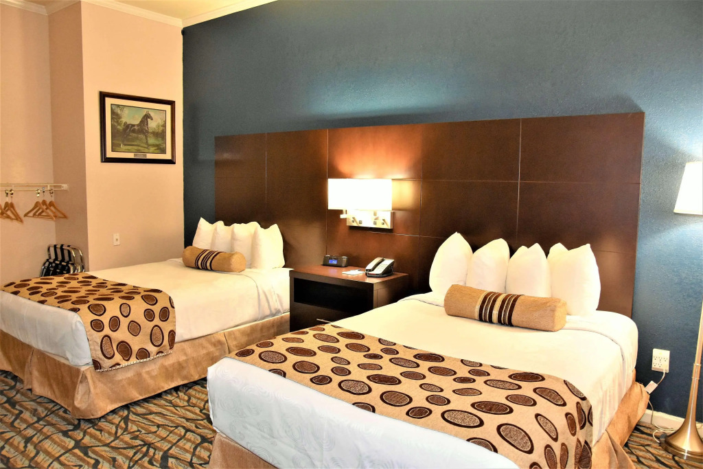 Best Western Spring Hill Inn & Suites