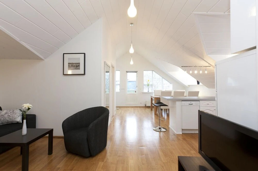 A Part of Reykjavík Laugavegur Apartment