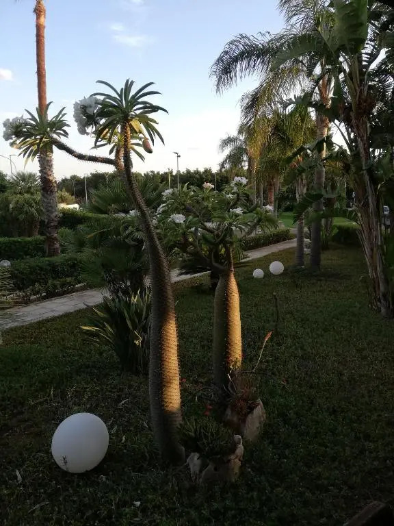 Casa Martina
