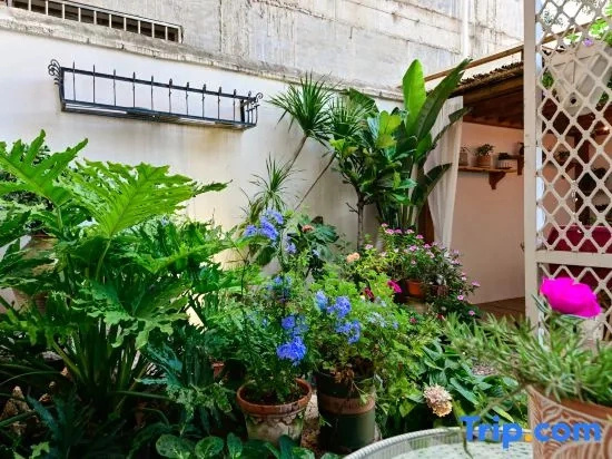 Ouran Boutique Guesthouse