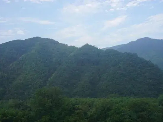 Zuimei Guesthouse