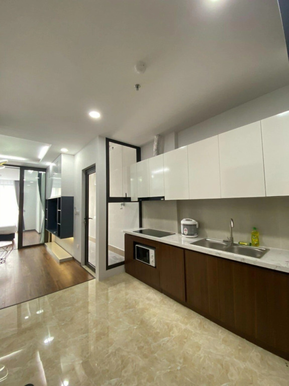 Serviced Green Pearl Apartment in Bac Ninh city