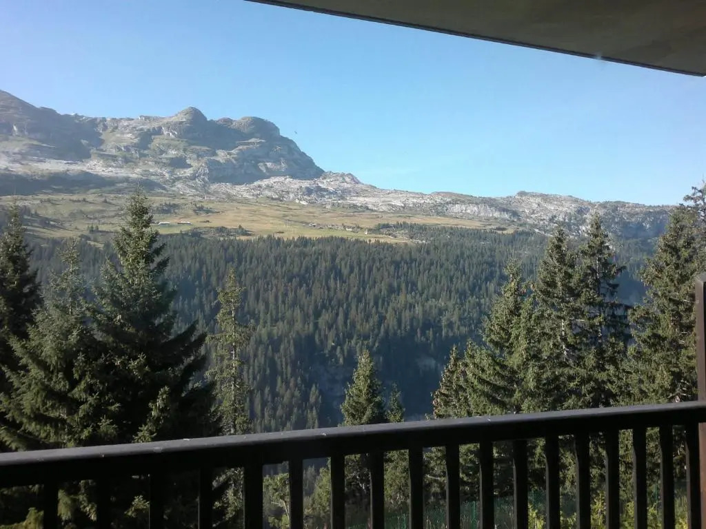 Appartement Flaine, 2 pièces, 4 personnes - FR-1-425-184